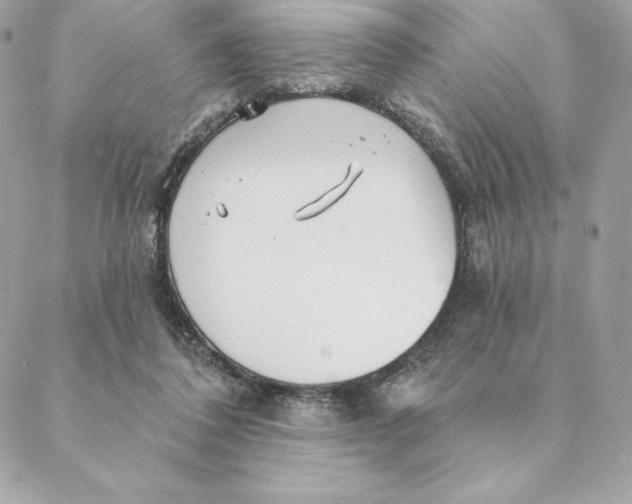 X0000088570308200706151653