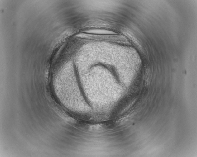 X0000088570309200706151653