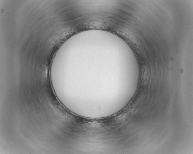 X0000088570310200706151653