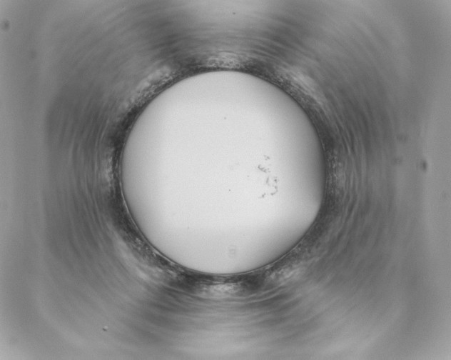 X0000088570312200706151653