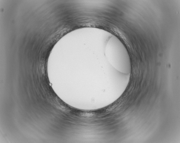 X0000088570313200706151653