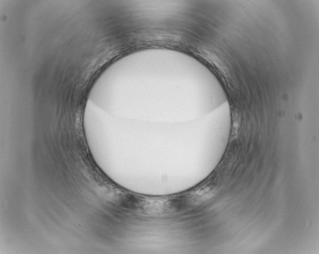 X0000088570314200706151653