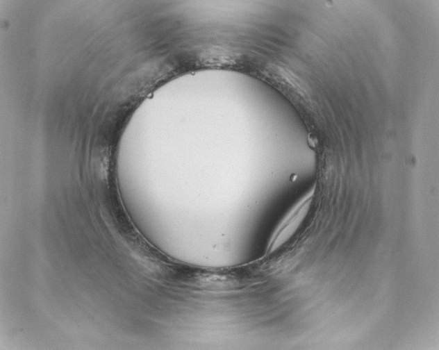 X0000088570315200706151653