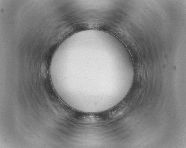 X0000088570316200706151653