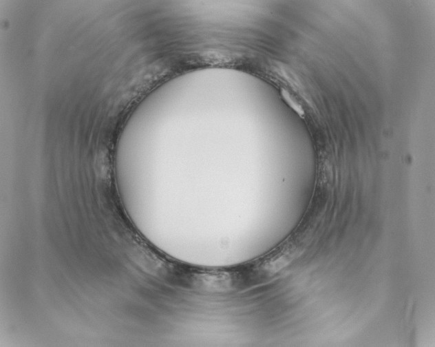 X0000088570317200706151653