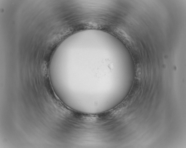 X0000088570318200706151653