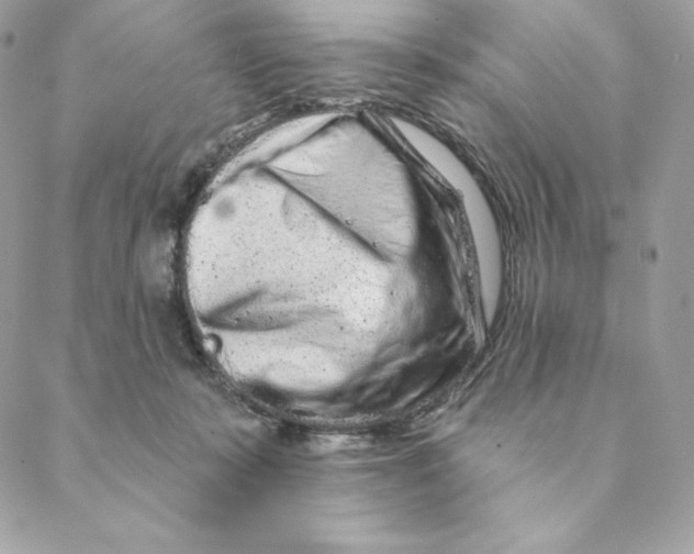 X0000088570319200706151653