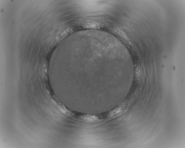 X0000088570322200706151653