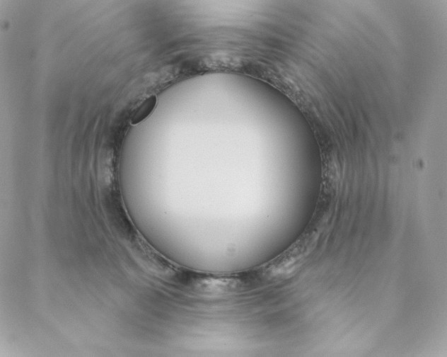 X0000088570323200706151653