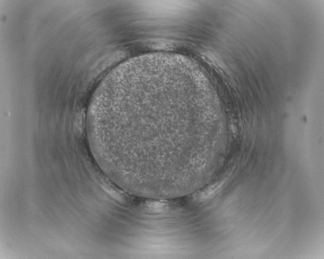 X0000088570325200706151653