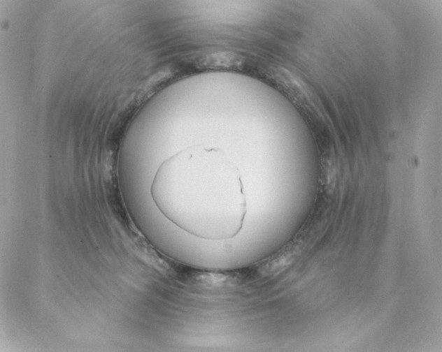 X0000088570326200706151653