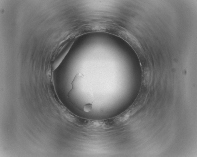 X0000088570329200706151653