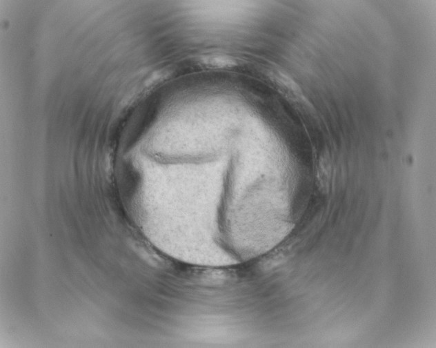 X0000088570330200706151653