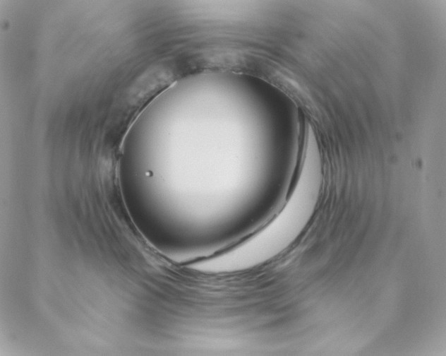 X0000088570333200706151653