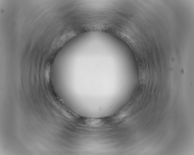 X0000088570334200706151653