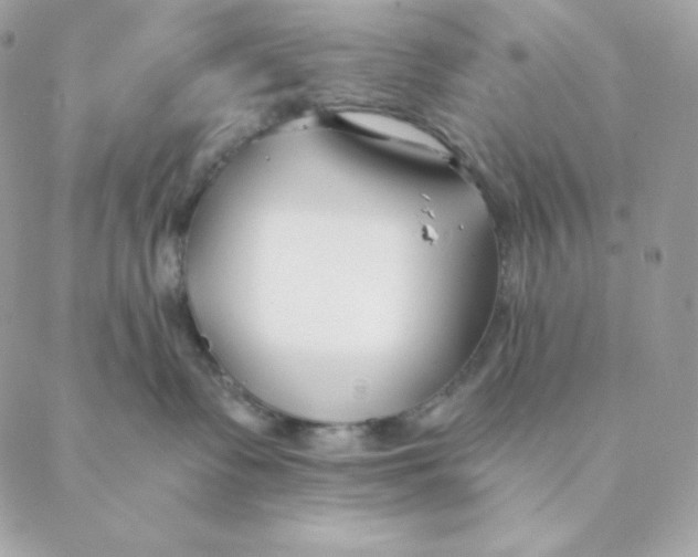 X0000088570335200706151652