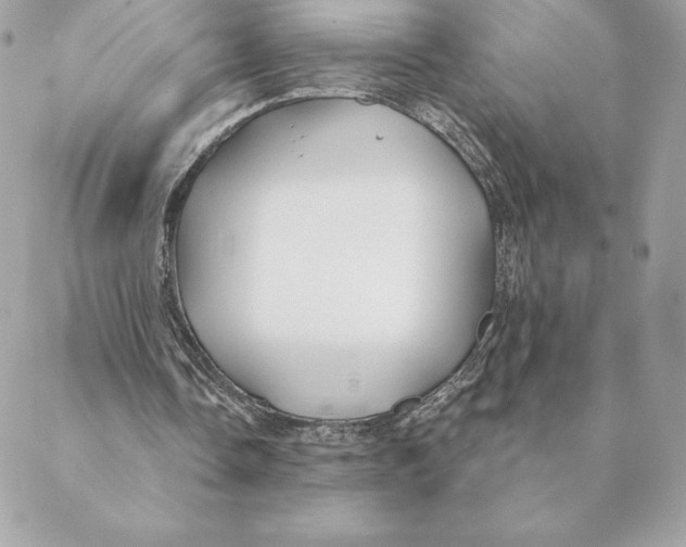 X0000088570338200706151652