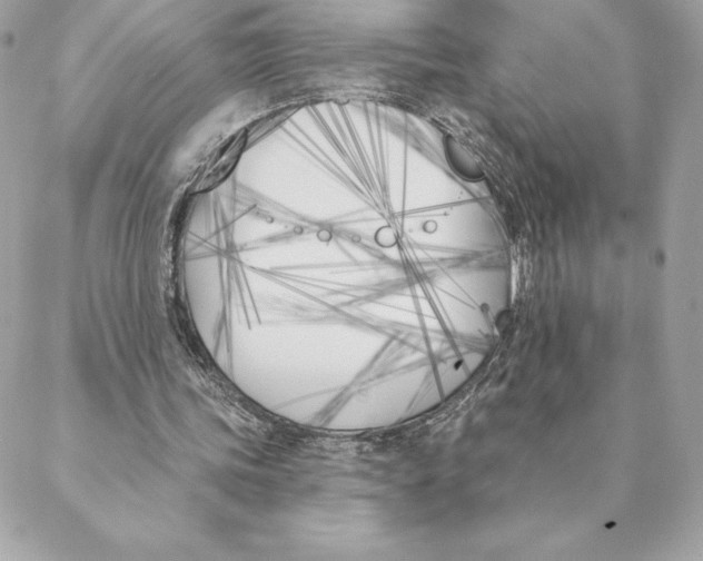 X0000088570339200706151652