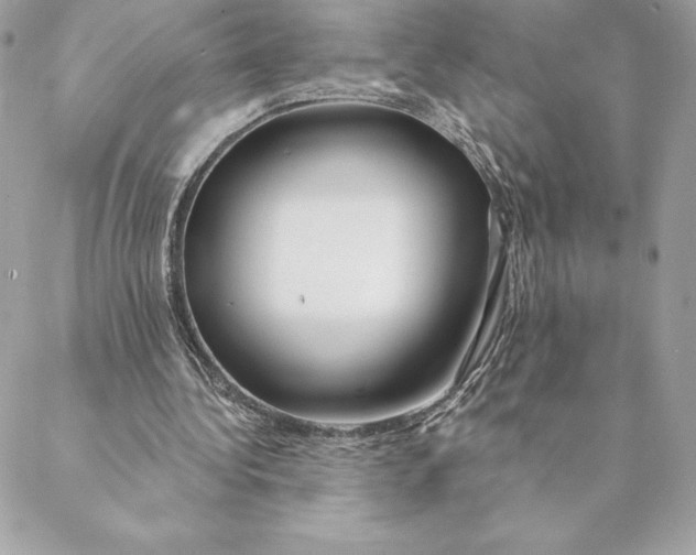 X0000088570340200706151652