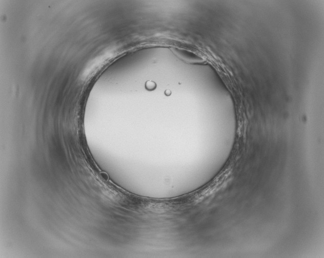 X0000088570341200706151652