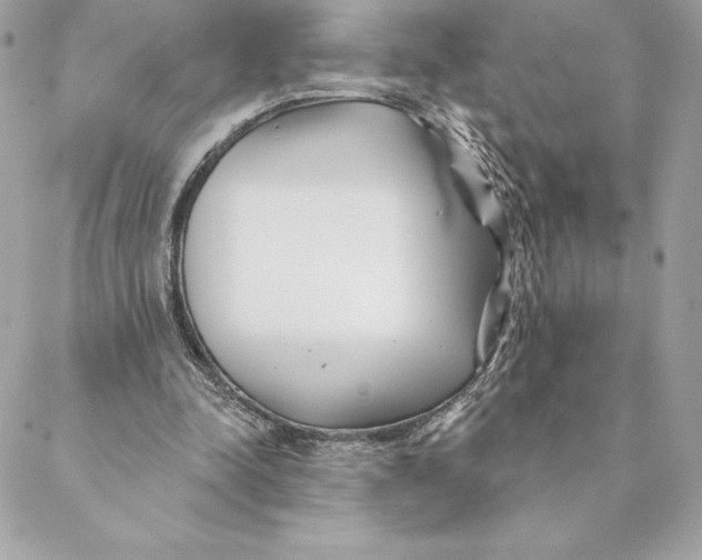 X0000088570342200706151652