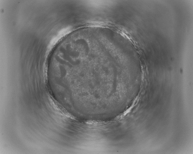 X0000088570343200706151652