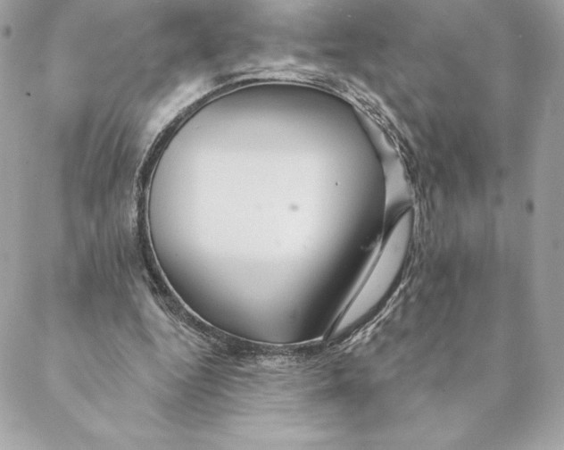 X0000088570344200706151652