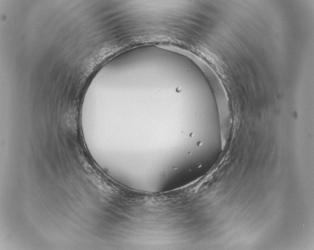 X0000088570345200706151652