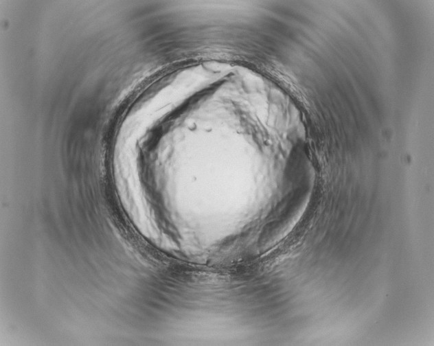 X0000088570347200706151652