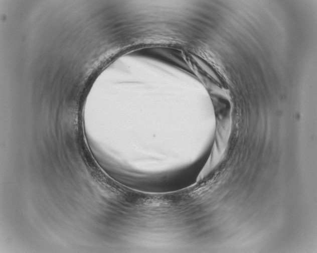 X0000088570348200706151652