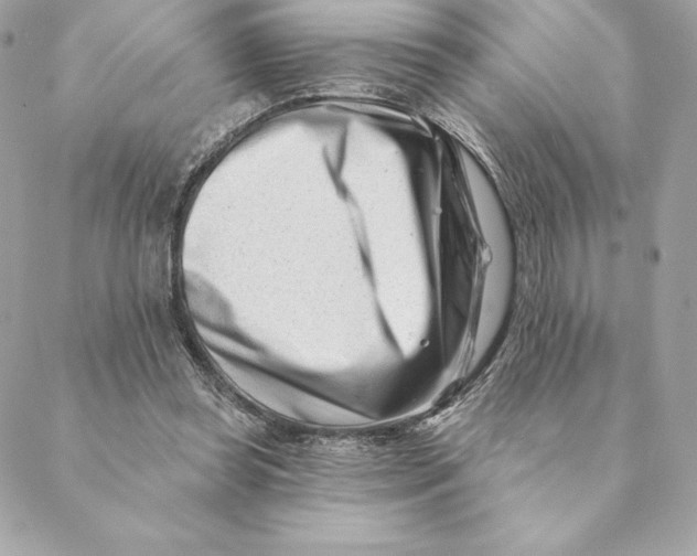 X0000088570349200706151652