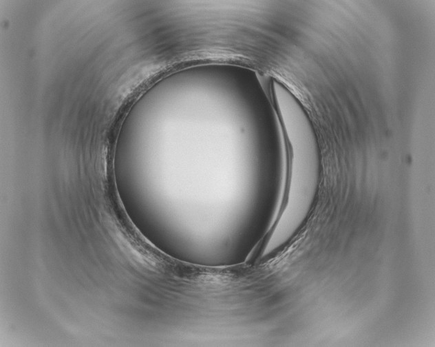 X0000088570350200706151652