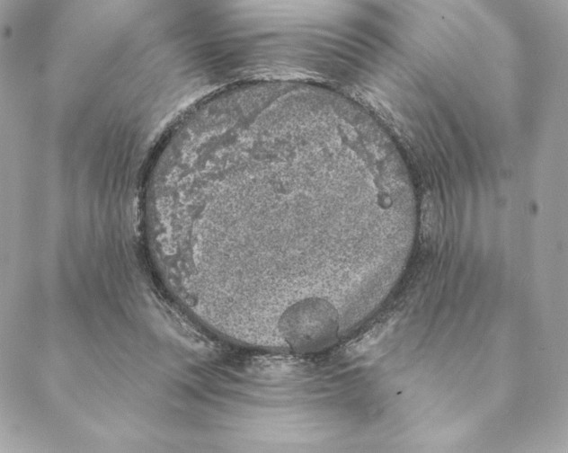 X0000088570351200706151652