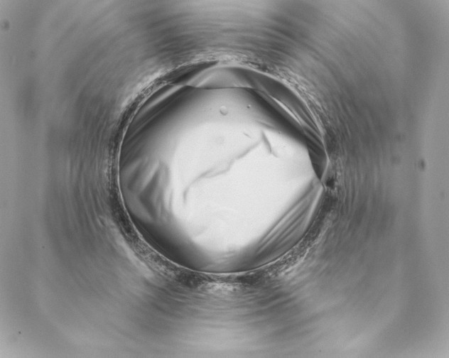 X0000088570352200706151652