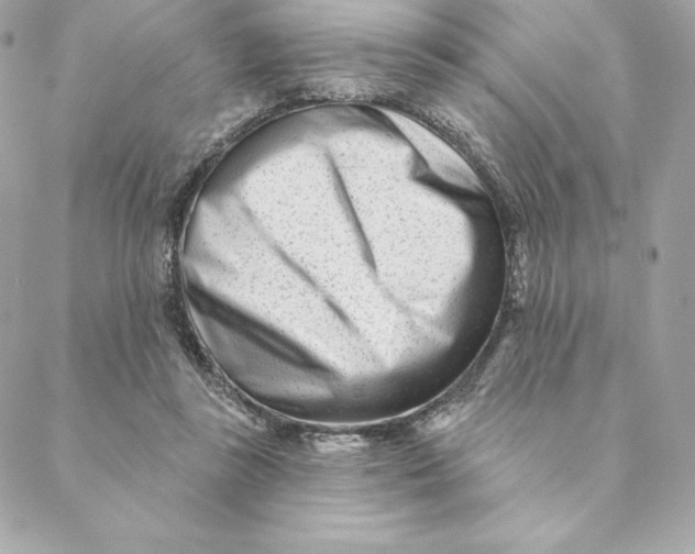 X0000088570355200706151652