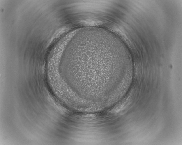 X0000088570357200706151652