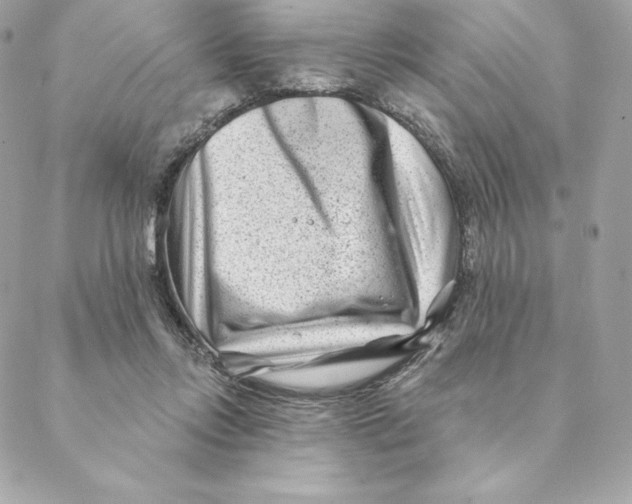 X0000088570358200706151652