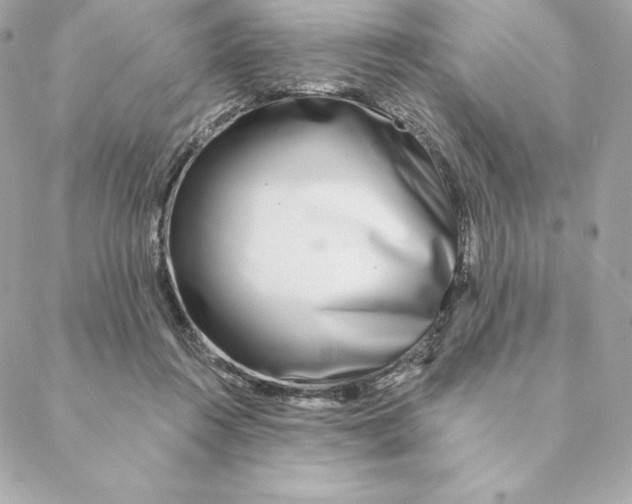 X0000088570360200706151652