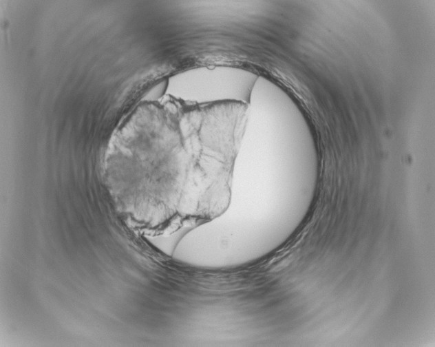 X0000088570361200706151652