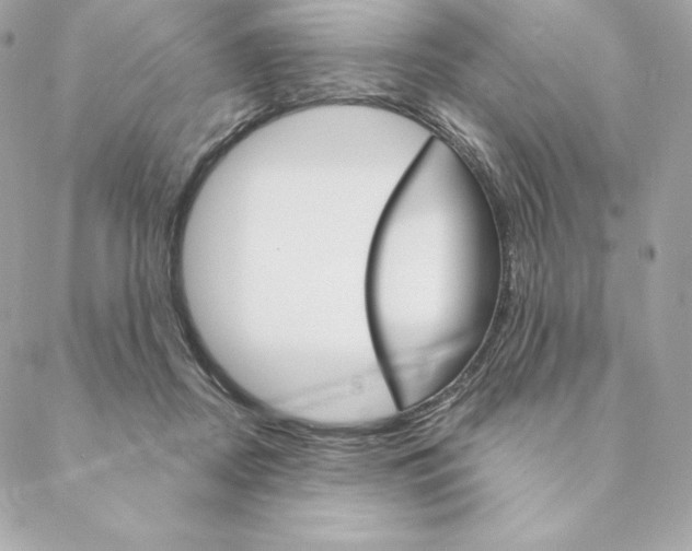 X0000088570362200706151652