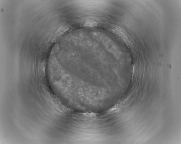 X0000088570363200706151652