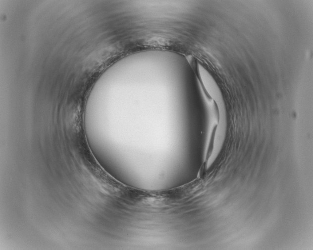 X0000088570364200706151652