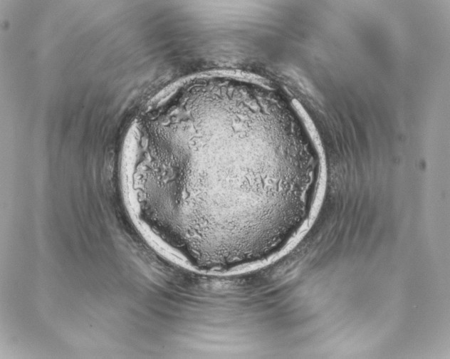 X0000088570365200706151652