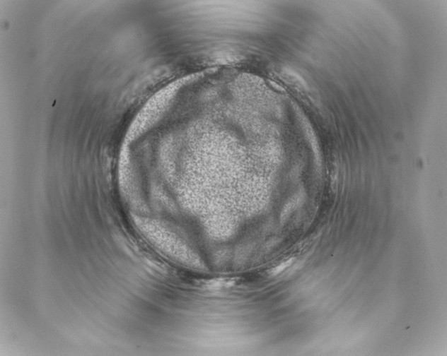 X0000088570366200706151652