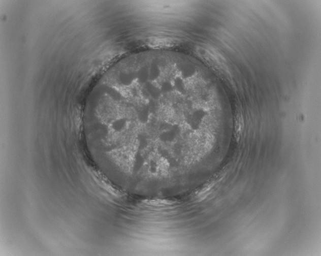 X0000088570367200706151652