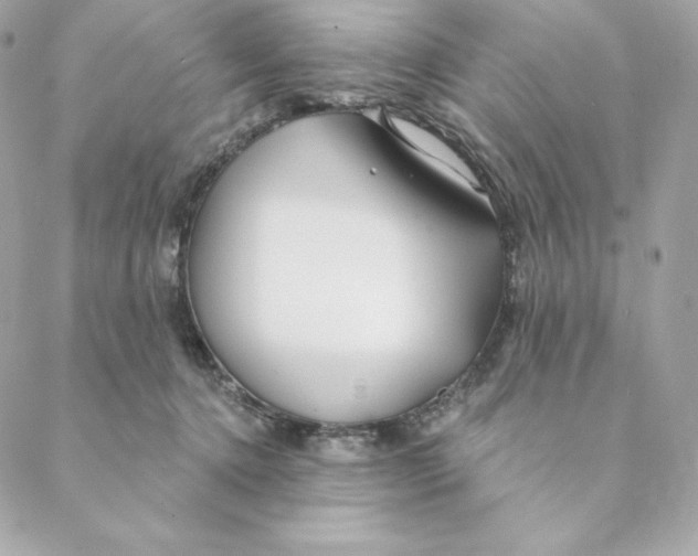 X0000088570368200706151652