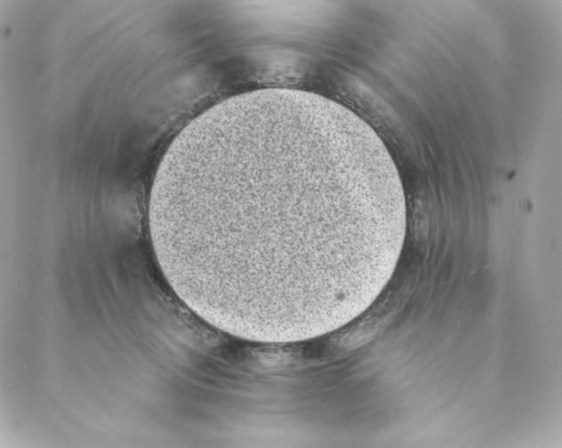 X0000088570370200706151652