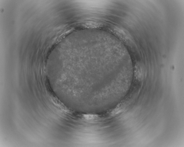 X0000088570371200706151652