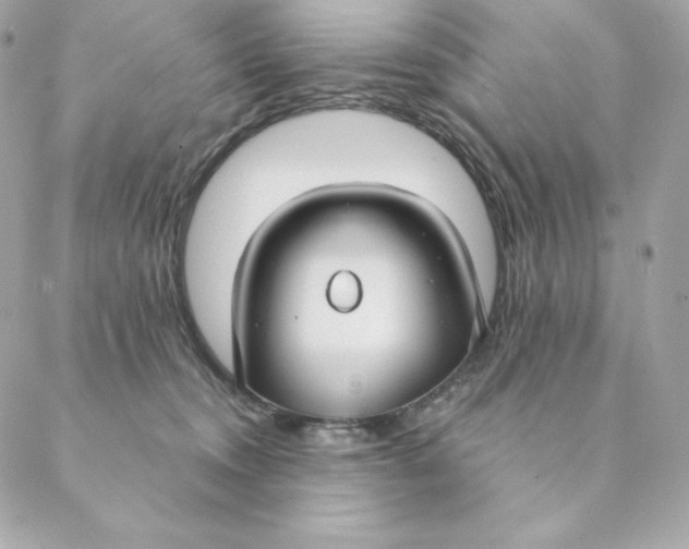 X0000088570372200706151652