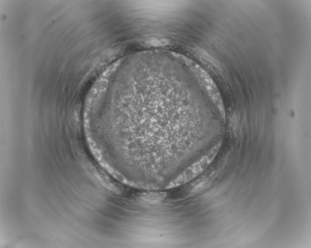 X0000088570373200706151652